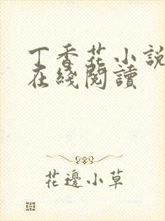 丁香花小说原著在线阅读封面