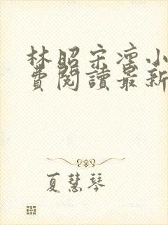 林昭宋凛小说免费阅读最新章节更新