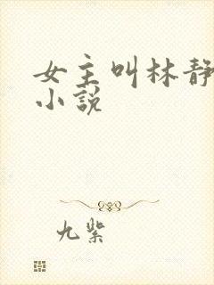 女主叫林静姝的小说