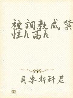 被调教成禁脔双性h高h