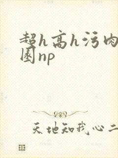 超h高h污肉校园np