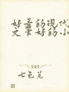 好看的现代言情文笔好的小说