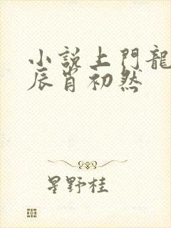 小说上门龙婿叶辰肖初然