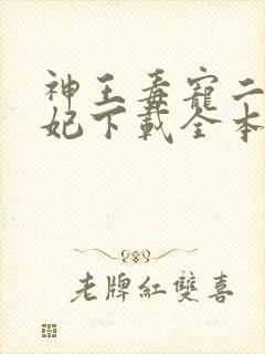神王毒宠二嫁王妃下载全本txt封面