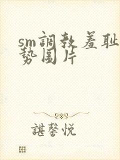 sm调教羞耻姿势图片封面