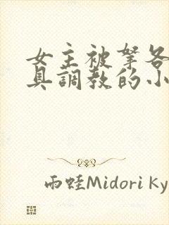 女主被拿各种刑具调教的小说