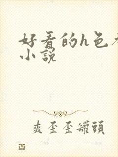 好看的h色都市小说