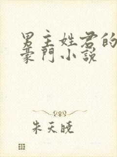 男主姓君的现代豪门小说