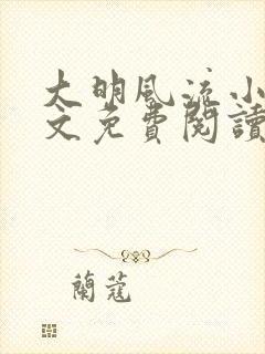 大明风流小说全文免费阅读txt完结版封面