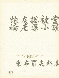 炮灰总被当成娇娇老婆小说全文阅读