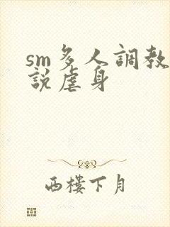 sm多人调教小说虐身