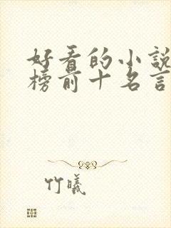 好看的小说排行榜前十名言情封面