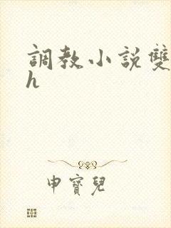 调教小说双性高h