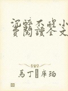 沉醉不醒小说免费阅读全文无弹窗