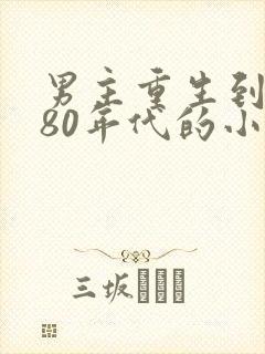 男主重生到7080年代的小说