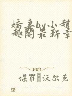 娇妻by小赵笔趣阁最新章节封面