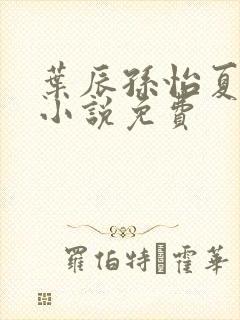 叶辰孙怡夏若雪小说免费