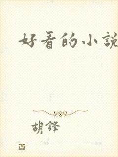 好看的小说同人封面