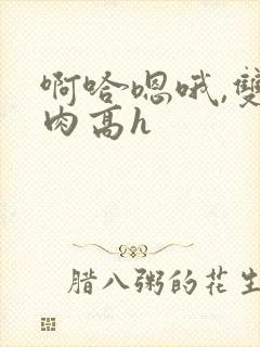 啊哈嗯哦,双性肉高h