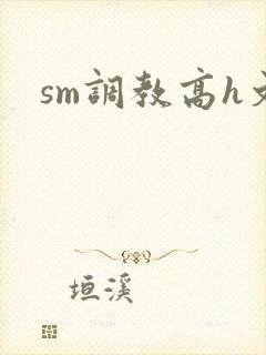 sm调教高h文