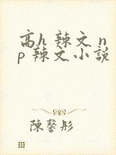 高h 辣文 np 辣文小说