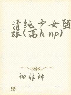 清纯少女堕落之旅(高h np)封面