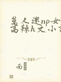 万人迷np女嬷高辣h文小说免费阅读