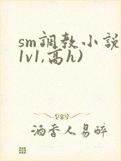 sm调教小说(1v1,高h)