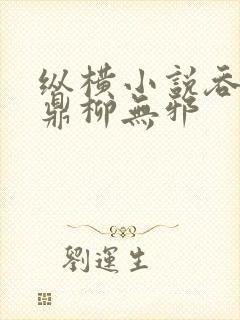 纵横小说吞天神鼎柳无邪