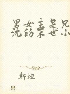 男女主是兄妹姓沈的末世小说封面