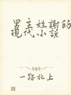 男主姓谢的总裁现代小说