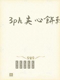 3ph夹心饼干封面