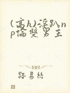 (高h)淫趴np伦双男主