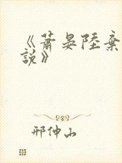 《萧晏陆弃娘小说》