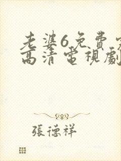 老婆6免费完整高清电视剧看封面