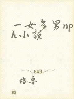 一女多男np高h小说封面