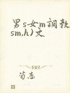 男s女m调教(sm,h)文