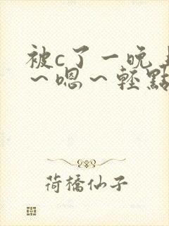 被c了一晚上啊～嗯～轻点h小说