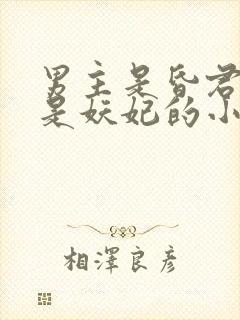 男主是昏君女主是妖妃的小说