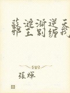 苏涟漪逆天狂妃邪王别缠我