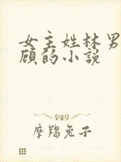 女主姓林男主姓顾的小说