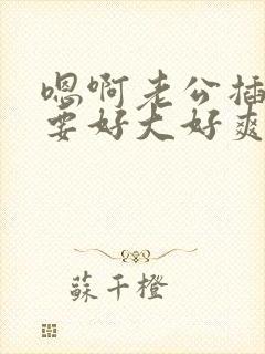 嗯啊老公插入不要好大好爽