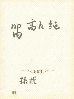 np 高h 纯肉
