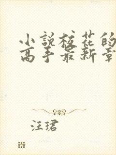 小说校花的贴身高手最新章节在线