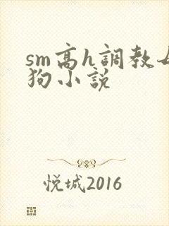 sm高h调教母狗小说