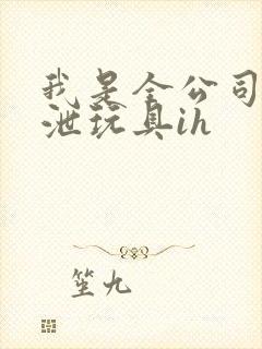 我是全公司的发泄玩具ih