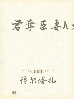 君夺臣妻h文肉封面