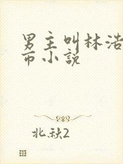 男主叫林浩的都市小说