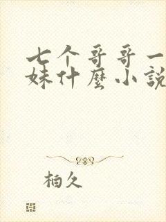 七个哥哥一个妹妹什么小说