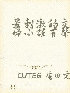 最刺激的交换夫妇小说有声